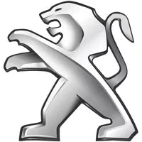 Werkzeuge für Peugeot