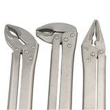 Langbeckzange 3er-Set (45°/90°), Detailansicht (Bild 3/6)